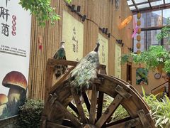-大理董·董家小厨野生菌火锅(古城旗舰店)