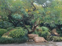 -晓港公园