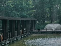 -翠湖国家城市湿地公园