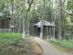 -象山森林公园