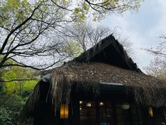 -中国茶叶博物馆(双峰馆区)
