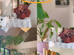 -花神·轻食简餐·咖啡馆·花卉绿植(荷兰花卉小镇店)