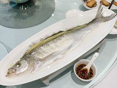 -西湖春天•老字号杭州菜(百汇店)