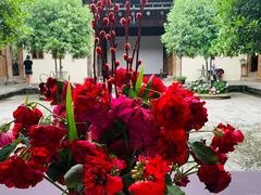 -金谷域澳洲庄园