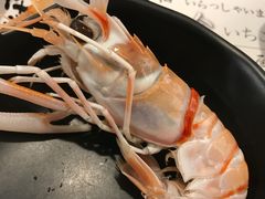 -伊豆野菜村(City店)