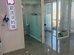-爱洗澡的猫(望京店)