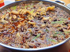 -胖子鱼·油泼甘谷辣子炝活鱼(秦州407店)