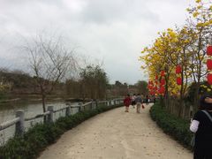 -天适樱花悠乐园