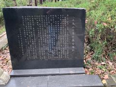 -上海佘山国家森林公园天马山园
