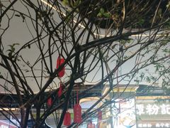 -本处·素食·融合料理(南油店)