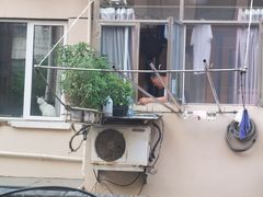 -上海市静安区图书馆(新闸路馆)