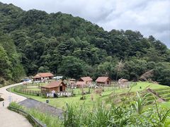 -龙岩森林水乡景区