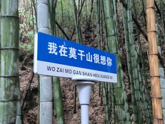 -莫干山风景区