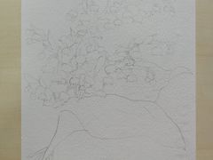 -BRAVO 赞·美艺术中心·系统美术·书法·艺考(双井校区)