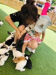 -萌宠亲子动物乐园(槐房万达店)