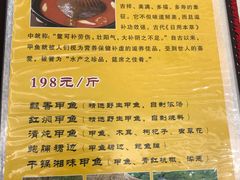 -丁老爷子苏香圆