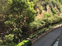 -天目湖涵田度假村