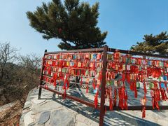 -香山公园
