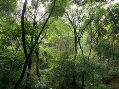 -广州市白云山风景名胜区