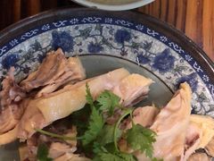 -九斤黄三黄鸡专卖店