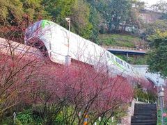 -关岳庙