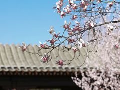 -三里河公园
