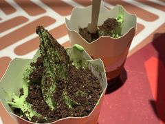 -麦当劳(南后街店)