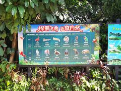 -广州长隆飞鸟乐园