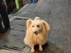 -唐人街(耀华力路)