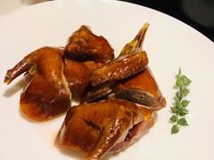 -甄御•海鲜新青岛菜(麦岛店)