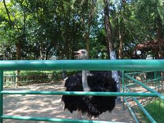 -香宫中餐厅 · 桂林香格里拉