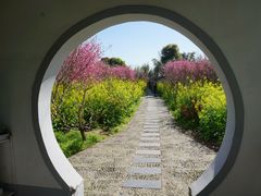 -南汇桃花村
