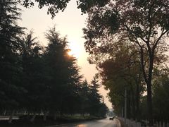 -南京信息职业技术学院