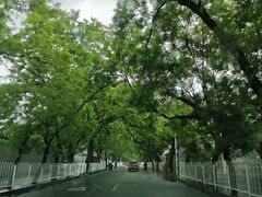 -京天红酒家(虎坊路店)