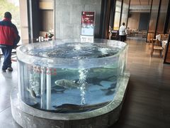 -燃燃小黄鱼(隆昌店)