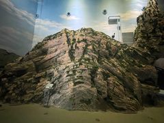 -房山世界地质公园博物馆