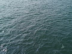 -东澳岛
