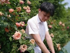 -亚龙湾国际玫瑰谷