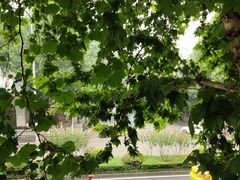 -重庆西南医院(西南院区)