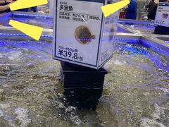 -盒马X会员店(上海森兰商都店)