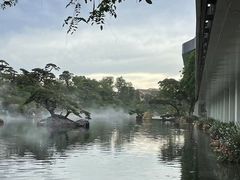 -罗红摄影艺术馆