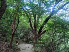 -杭州半山国家森林公园