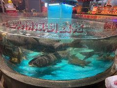 -魏铭鱼头捞饭(晋阳路店)