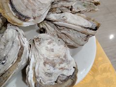 -蚝专家(北滘店)