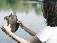 -尚贤河湿地