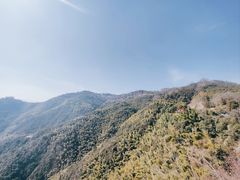 -莫干山风景区