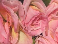 -吐斯廉屠杀博物馆