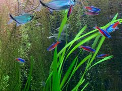 -上海海洋水族馆