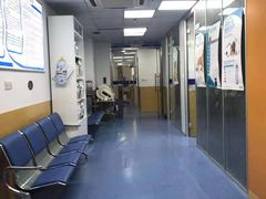 -美联众合动物医院(·中兽医·疑难杂症·严家桥分院)