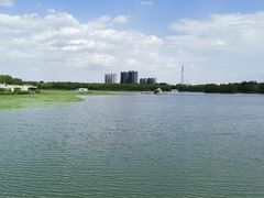 -大兴滨河森林公园